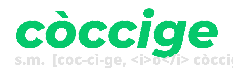 coccige