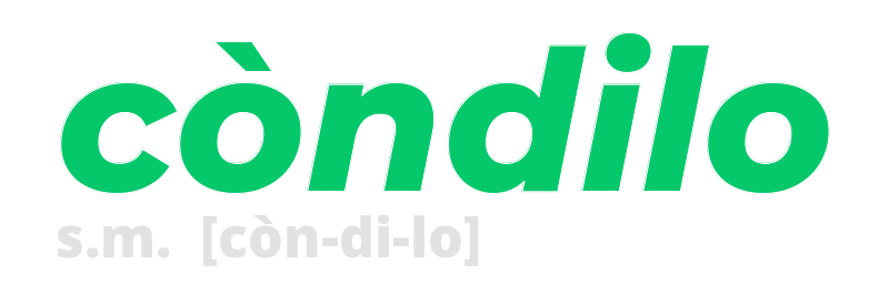 condilo