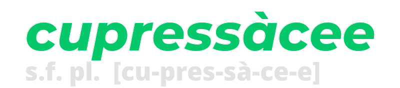 cupressacee