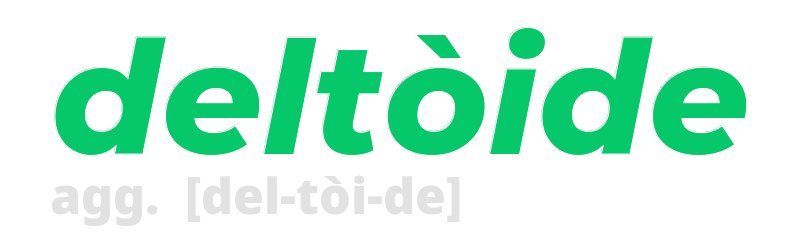 deltoide