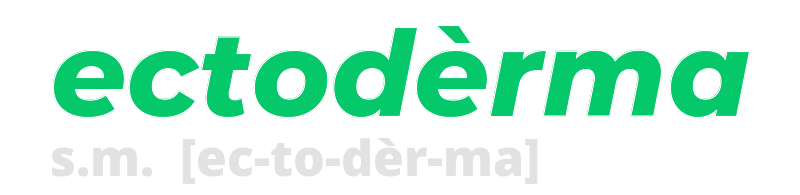 ectoderma