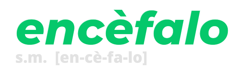 encefalo