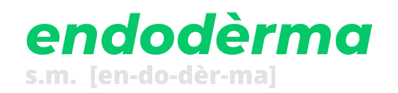 endoderma