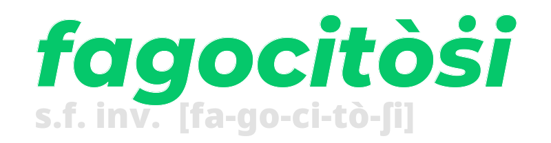 fagocitosi