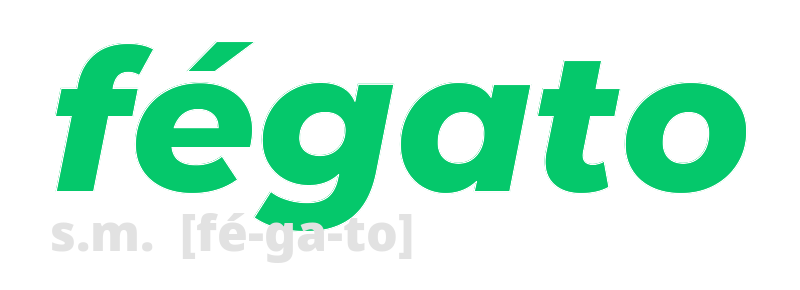 fegato