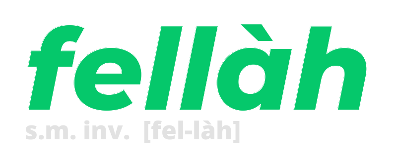 fellah