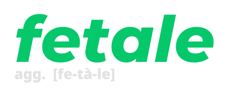 fetale