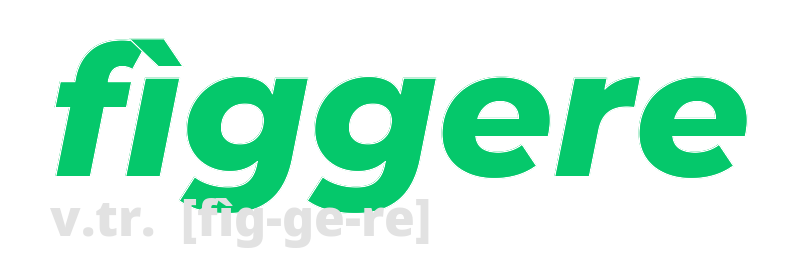 figgere