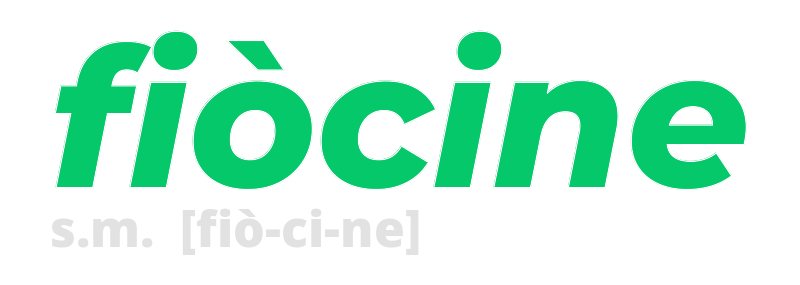 fiocine