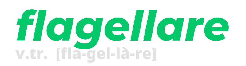 flagellare