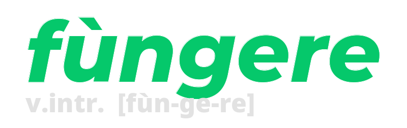 fungere