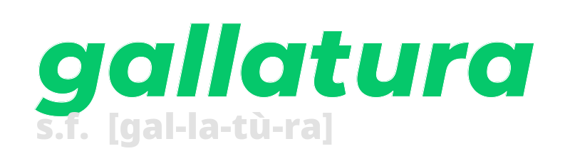 gallatura