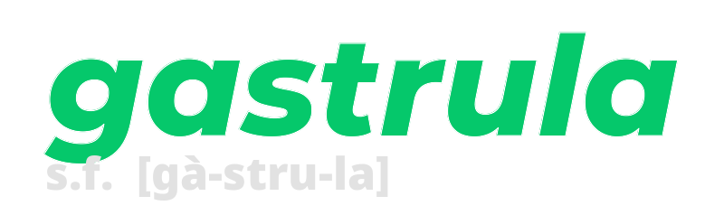 gastrula