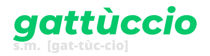 gattuccio