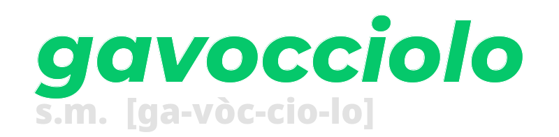 gavocciolo