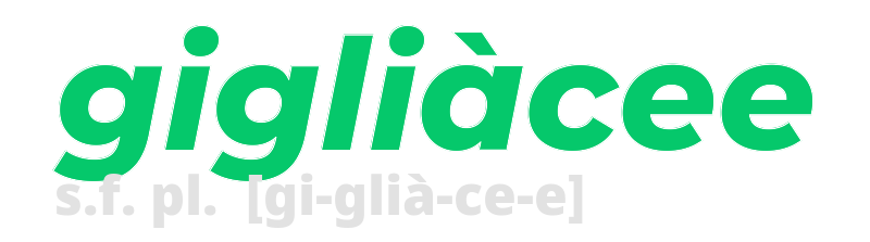 gigliacee