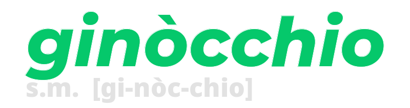 ginocchio