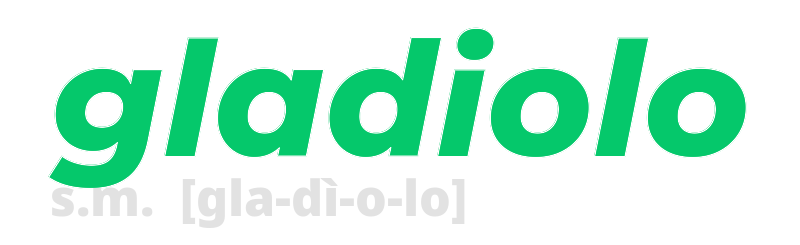gladiolo