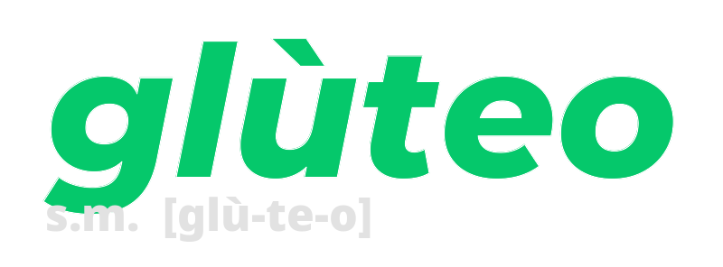 gluteo