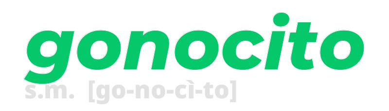 gonocito