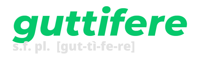 guttifere