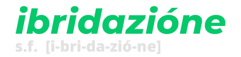 ibridazione