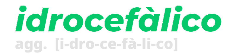 idrocefalico