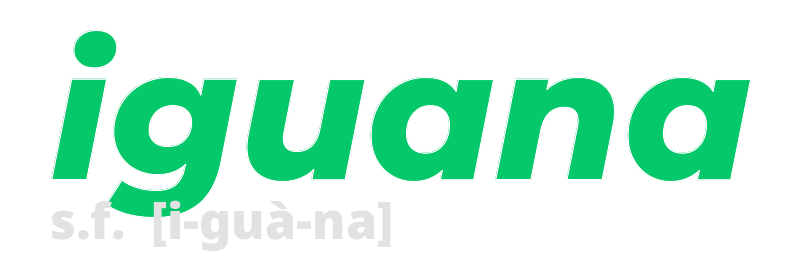 iguana