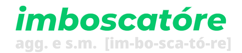 imboscatore