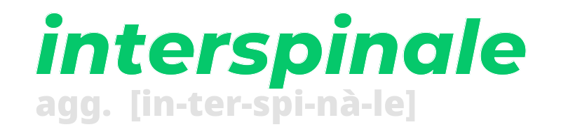 interspinale