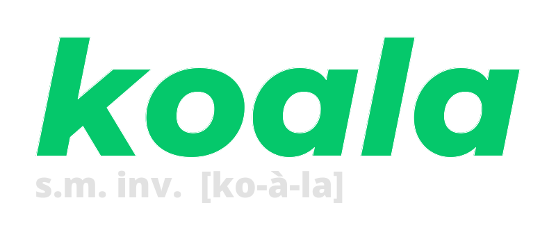 koala