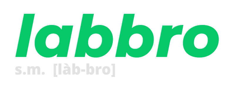 labbro