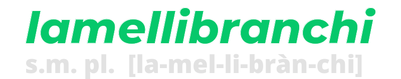 lamellibranchi