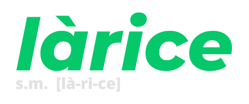 larice