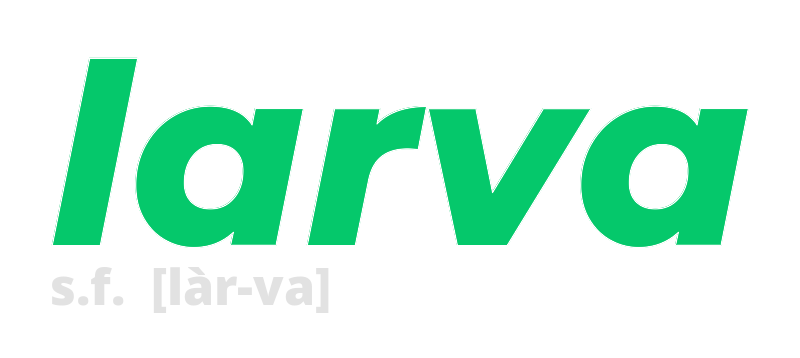 larva