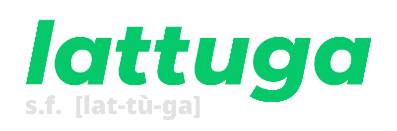 lattuga