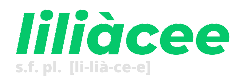 liliacee