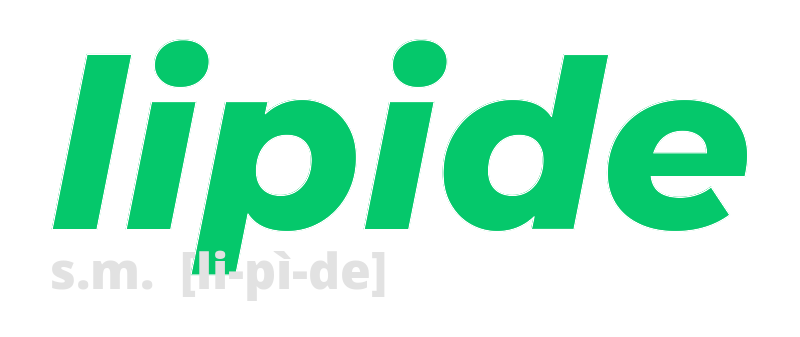 lipide