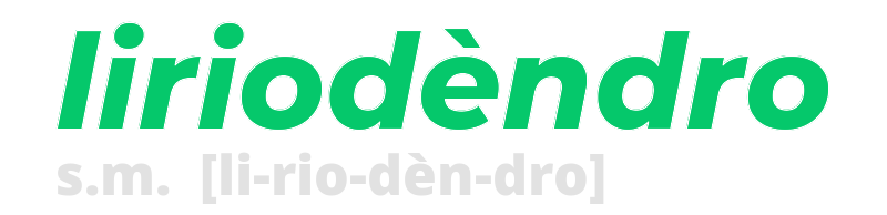 liriodendro