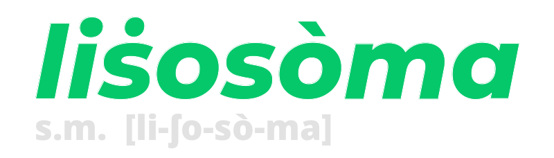 lisosoma