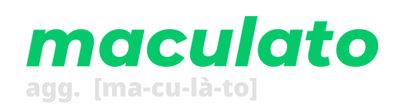 maculato