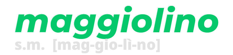 maggiolino