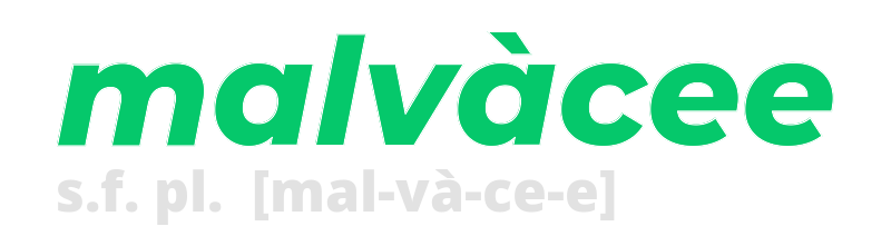 malvacee