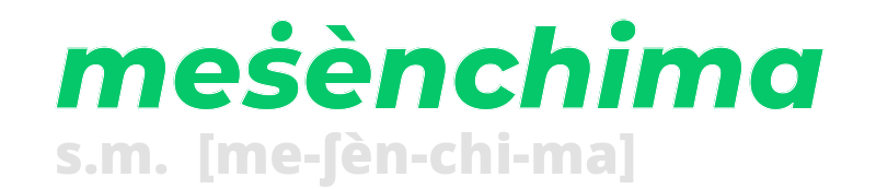 mesenchima