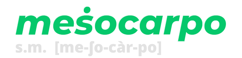 mesocarpo