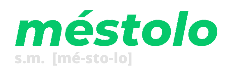 mestolo