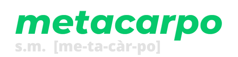 metacarpo