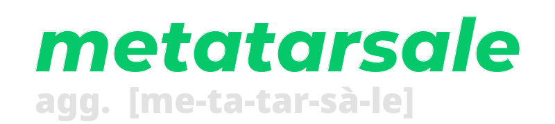 metatarsale