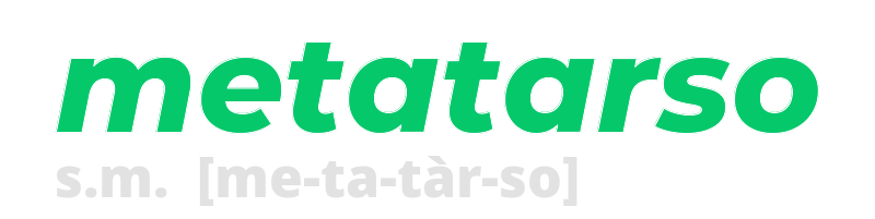 metatarso