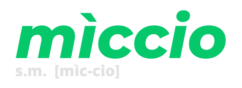 miccio